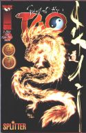 Spirit of the Tao 07